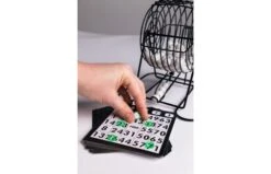 Bingo Molen Klein -Trendy Speelgoedwinkel 0606002 120