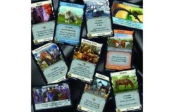 999 Games Dominion Menagerie Uitbreiding -Trendy Speelgoedwinkel 1200x1200 7