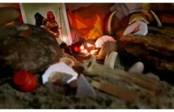 999 Games Paleo Bordspel -Trendy Speelgoedwinkel 1200x733