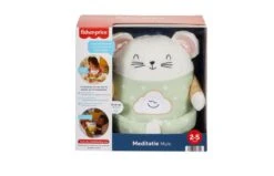 Fisher Price Meditatie Muis