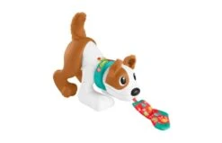 Fisher Price 123 Kruip Met Puppy