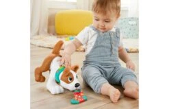 Fisher Price 123 Kruip Met Puppy -Trendy Speelgoedwinkel 2010240 130