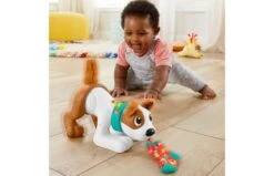 Fisher Price 123 Kruip Met Puppy -Trendy Speelgoedwinkel 2010240 140