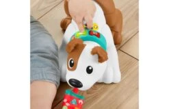 Fisher Price 123 Kruip Met Puppy -Trendy Speelgoedwinkel 2010240 150