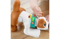 Fisher Price 123 Kruip Met Puppy -Trendy Speelgoedwinkel 2010240 170
