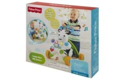Fisher Price Loop Met Mij Zebra -Trendy Speelgoedwinkel 2010241 040