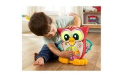 Fisher Price Wijze Ogen Uil -Trendy Speelgoedwinkel 2010242 120